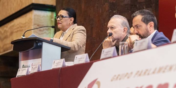 “Austeridad no es un slogan, es un principio rector de nuestro movimiento”, advierte Rosa Icela en plenaria de Morena