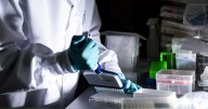 The NIH says it's focused on whole-virus vaccines. What are they?
