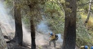 New fire restrictions ordered for Uinta-Wasatch-Cache, Ashley national forests