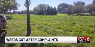 Weeds cut after complaints