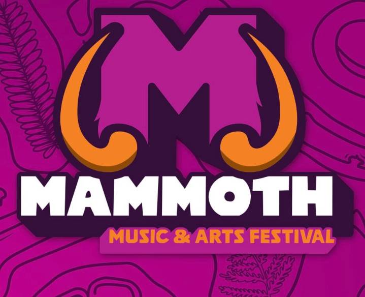 MAMMOUTH Music & Arts Festival to support Newport schools in a mammouth way
