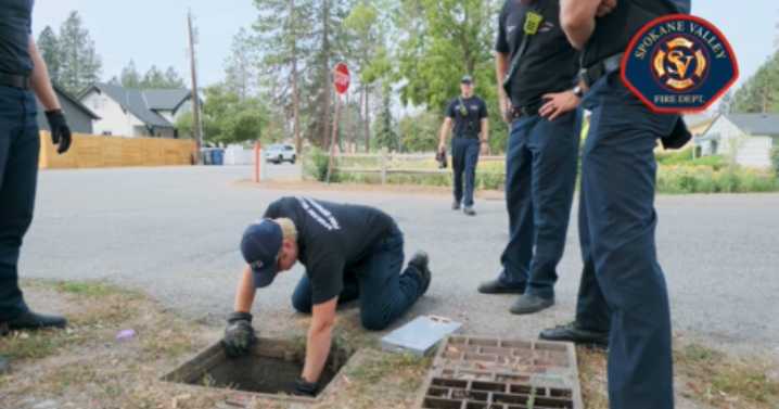 Firefighters rescue three baby quail from storm drain in Spokane Valley