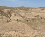 Ethiopian fossils reveal new species in human evolutionary lineage