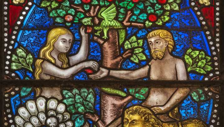 Men Demand Reparations From Women Due To Eve Eating The Apple