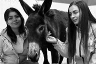 Las mentiras: ofensa para la inteligencia y esperanza para la ignorancia