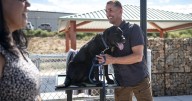 Paws and reflect: Albuquerque puts up park signs paying homage to hero dogs