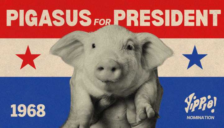 The search for Pigasus: What happened to Chicago's presidential pig?