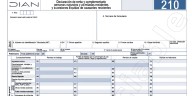 Los pasos que debe seguir para su declaración de renta luego de llenar el formulario 210 