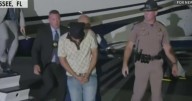 Undocumented truck driver extradited to Florida in fatal Turnpike crash