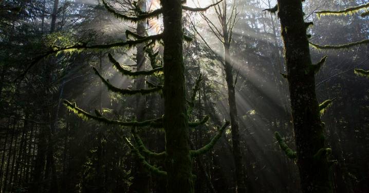 Washington state braces for ‘Inevitable’ Megafire. Climate change may bring it sooner.