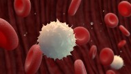 White Blood Cells Continue To Offer Free Health Care