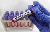 Primeros casos humanos de virus del Nilo Occidental registrados en Chicago ponen en alerta a autoridades