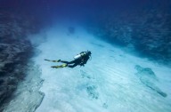 Civil Beat Series On Threats To Northwest Hawaiian Islands Wins National Award