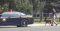 Schenectady police to get first bomb