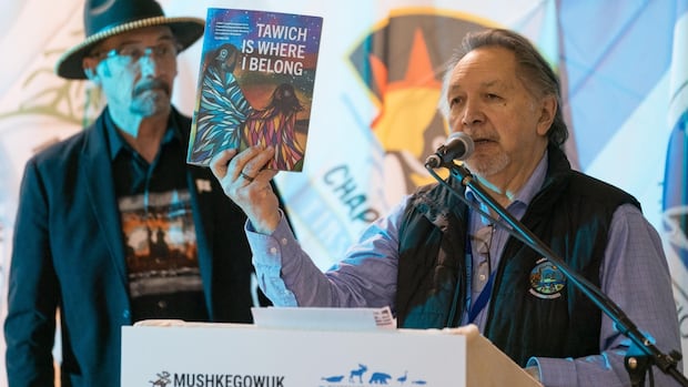 Ontario pipeline corridor proposal faces pushback over lack of Indigenous consultation, environmental risks