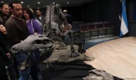 Descubren fósil de reptil “hipercarnívoro” que cazaba dinosaurios hace 70 millones de años