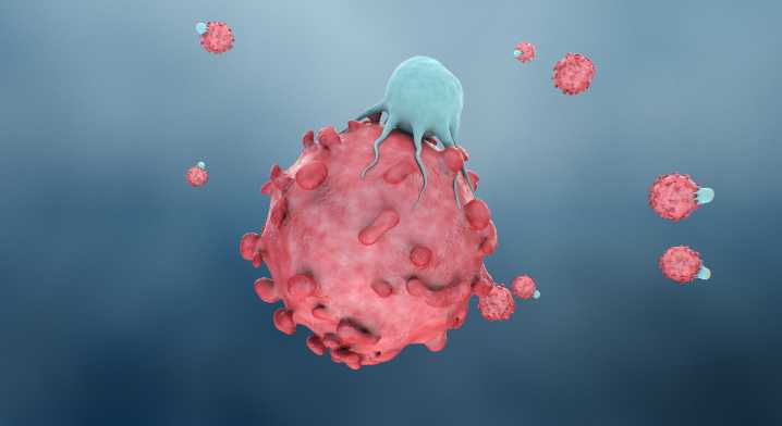 B Cell Lymphoma Hastens Aging of Immune Cells and Tissues