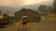 Una peluquería canina de Ourense muestra su solidaridad con las mascotas afectadas por los incendios