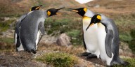 Linux is about to lose a feature – over a personality clash • The Register
