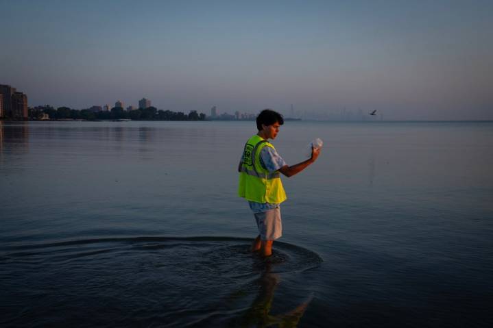Bacteria closed hundreds of Great Lakes beaches in 2024. Here’s what you need to know before jumping into Lake Michigan.