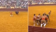 Portugal: un toro de 700 kg mató a un torero de 22 años