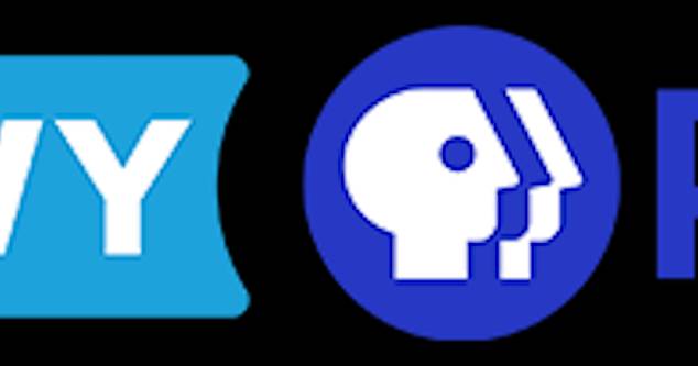 Public Broadcasting at a Crossroads: Online event explores trust, bias, and accountability