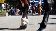 Detenido por realizar presuntos tocamientos a una mujer en la Feria de Málaga