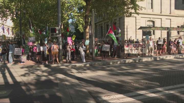 Portland rally for Gaza calls for lasting ceasefire, end to humanitarian crisis