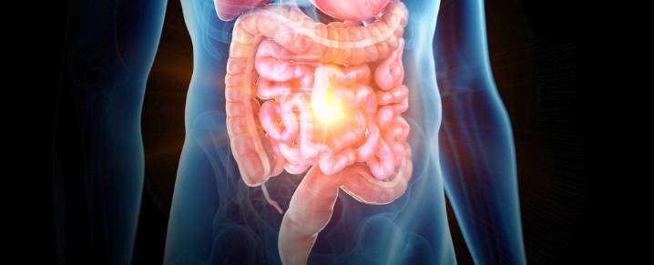 How Your Body Makes Poop (And Surprising Facts About Digestion)