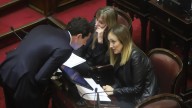 Senado: la oposición apura la Emergencia para el Garrahan y la ley de Financiamiento Universitario