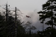 How industrial forestry and climate change created the NS wildfire problem