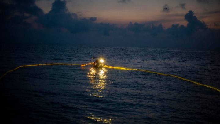 La anchoa inunda la ría de Muros-Noia: pesca olímpica y capturas récord
