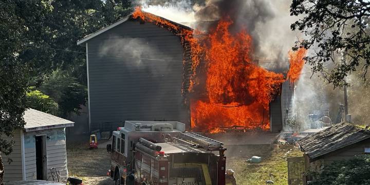 Firefighters rescue dog from burning house in Sweet Home