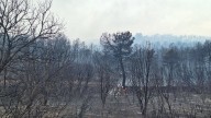 Evolución de los incendios en Castilla y León: Molezuelas-León, sin llama en el perímetro tras una "noche tranquila"