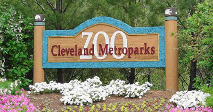 Cleveland Metroparks Zoo announces 3 exclusive Halloween events for Fall