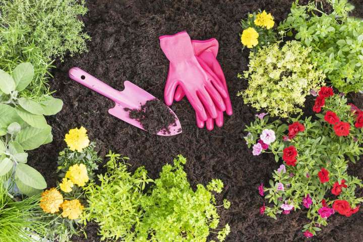 The Best Flowers and Plants to Put in the Ground This September for a Lush Garden Next Spring