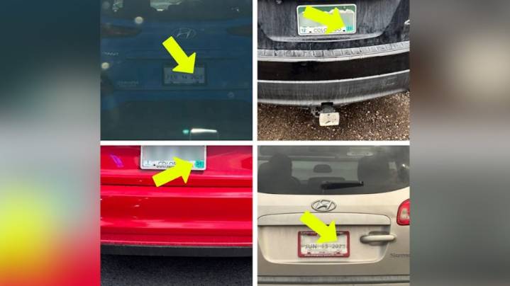 Joint law enforcement leads to more than 300 traffic stops for expired registration