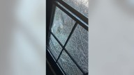 Sylvan Hills vegan restaurant vows to stay despite crime
