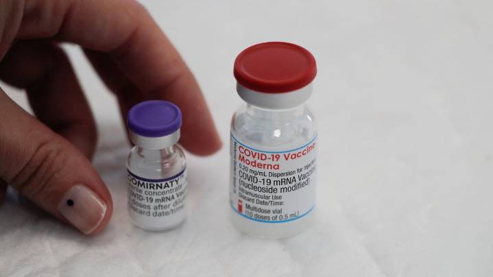 La vacunación del covid ya no será como la de gripe