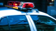 Illinois man arrested after crashing during police pursuit in Indiana