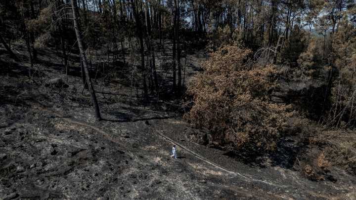 Galicia contiene la ola de incendios: solo permanecen activos dos grandes fuegos en Orense