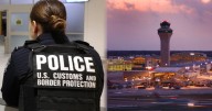 De terror: CBP incautó carne de animales silvestres en el Aeropuerto de Detroit y podrían estar infectados