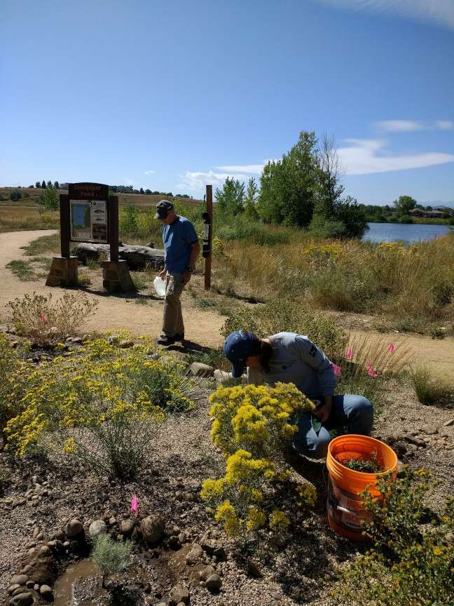 Larimer County accepting applications for community nature grants