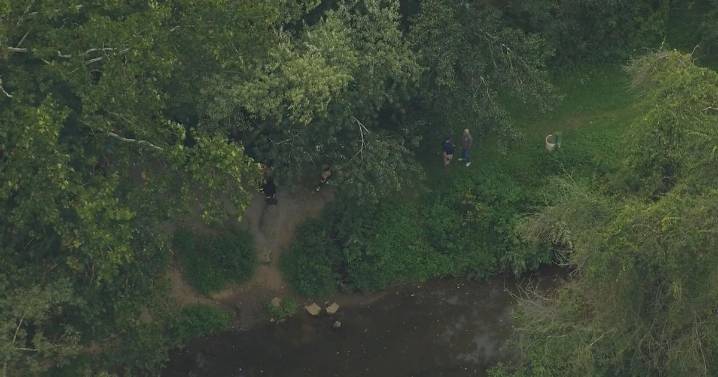 Deaths of about 30-40 fish in Chester Creek under investigation in Aston Township, Pennsylvania