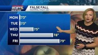 Crisp Fall Feel All Week