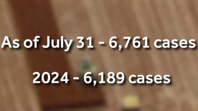 Sacramento, Stanislaus, San Joaquin among CA counties with increased Valley Fever cases