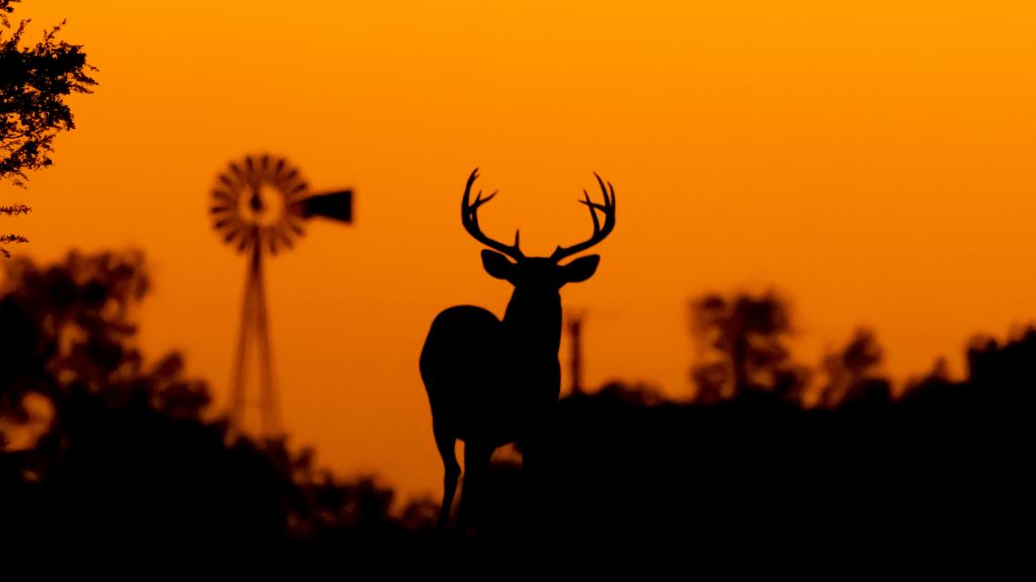 State officials release phased approach to permitting Sunday hunting in state parks and forests