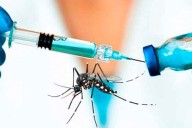 ALERTA DENGUE! El Gobierno de Corrientes dice que dispone de 25.000 vacunas