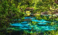 "Recipe For Disaster": Florida Doesn't Want A New National Park For Obvious Reasons