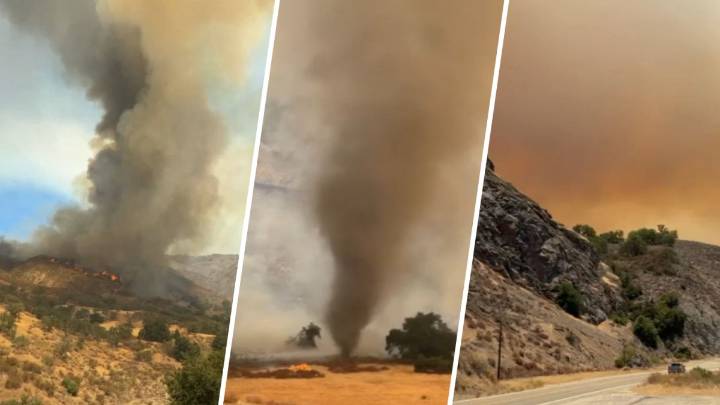 ¿Dónde hay incendios forestales en California? – Telemundo Area de la Bahía 48